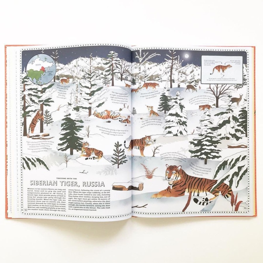 Play & Learn Quarto Factual Books | Atlas Of Animal Adventures