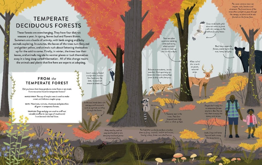 Play & Learn Quarto Story Books | Let'S Save Our Planet: Forests | Uncover The Facts. Be Inspired. Make A Difference