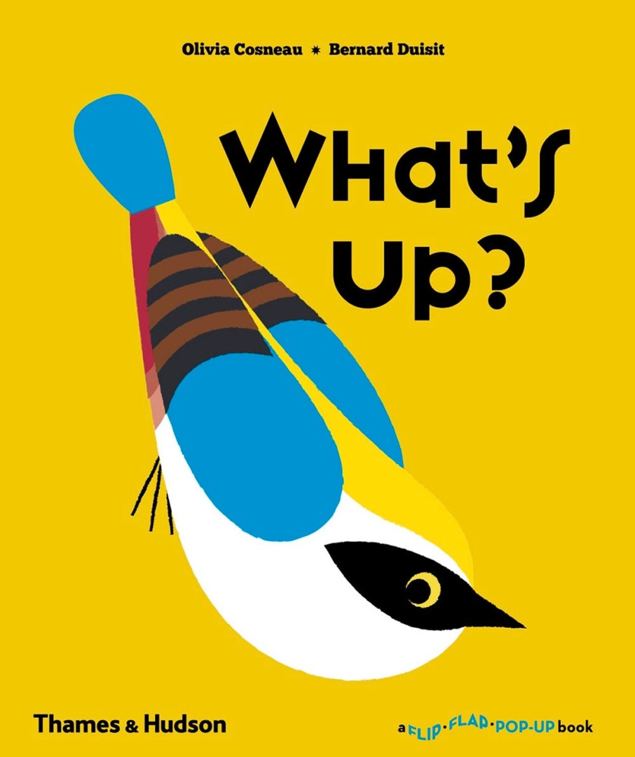 Play & Learn THAMES & HUDSON Pop-Up Books | What'S Up? (A Flip Flap Pop Up Book)