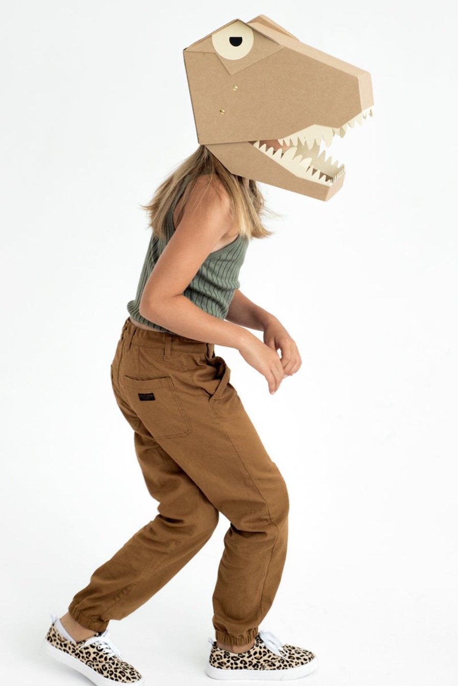 Play & Learn Koko Cardboard Tapes | Diy 3D Mask | T-Rex