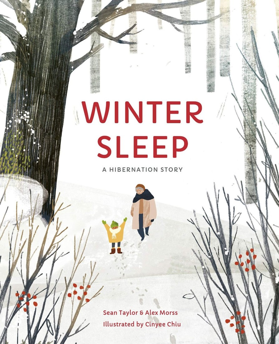 Play & Learn Quarto Christmas Books | Winter Sleep | A Hibernation Story