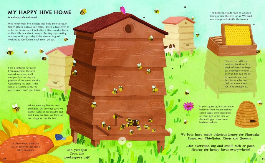 Play & Learn Quarto Factual Books | The Secret Life Of Bees | Meet The Bees Of The World, With Buzzwing The Honeybee