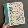 Play & Learn Quarto Story Books | A World Full Of Animal Stories | 50 Favourite Animal Folk Tales, Myths And Legends