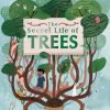 Play & Learn Quarto Factual Books | The Secret Life Of Trees | Explore The Forests Of The World, With Oakheart The Brave