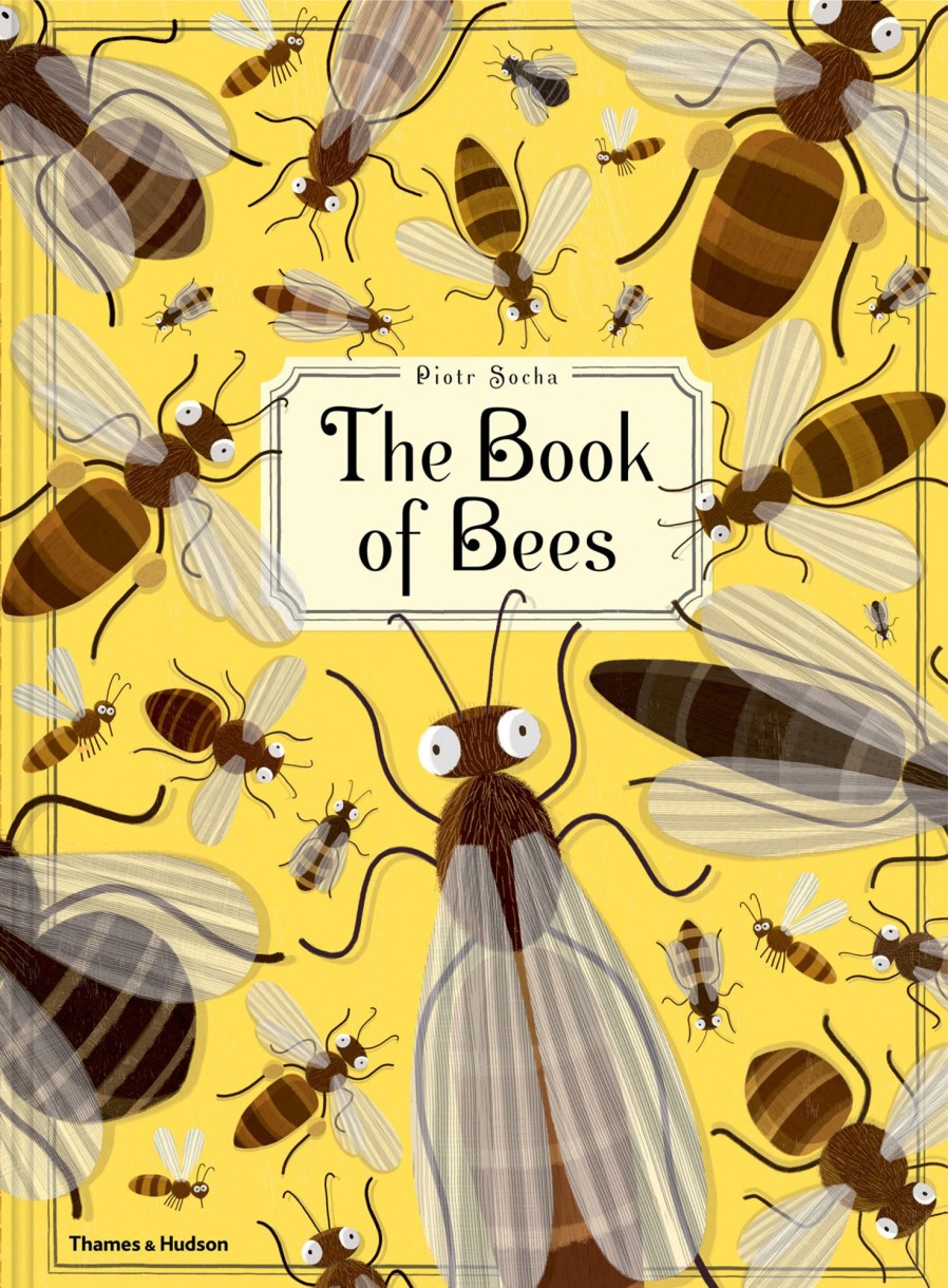 Play & Learn THAMES & HUDSON Factual Books | The Book Of Bees