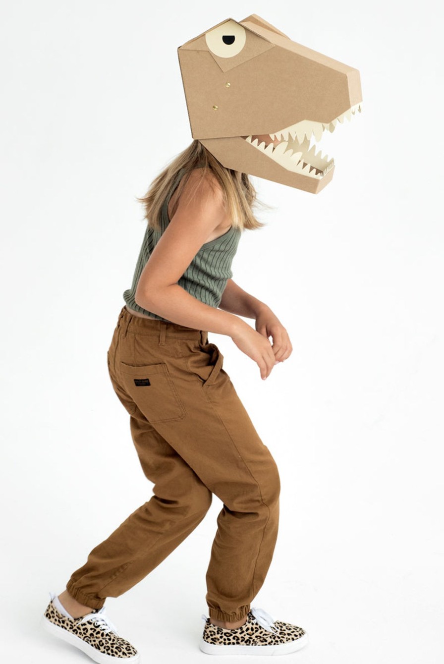 Play & Learn Koko Cardboard Costume & Dress Up | Diy 3D Mask | T-Rex