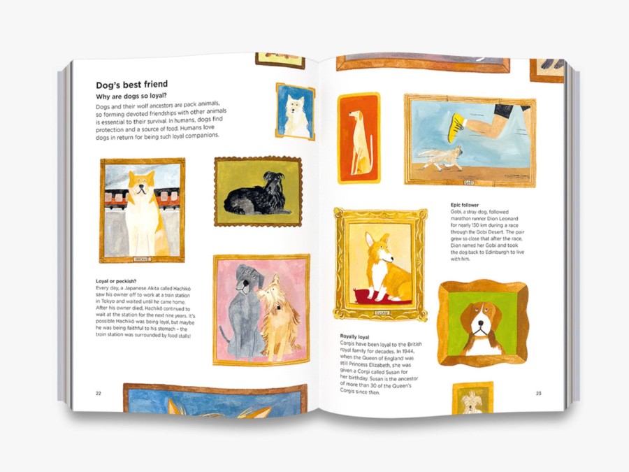 Play & Learn THAMES & HUDSON Factual Books | Why Do Dogs Sniff Bottoms?