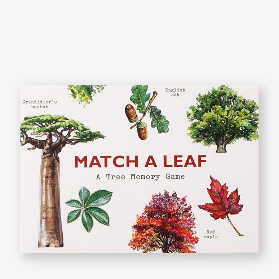 Play & Learn Laurence King Puzzles & Games | Match A Leaf: A Tree Memory Game